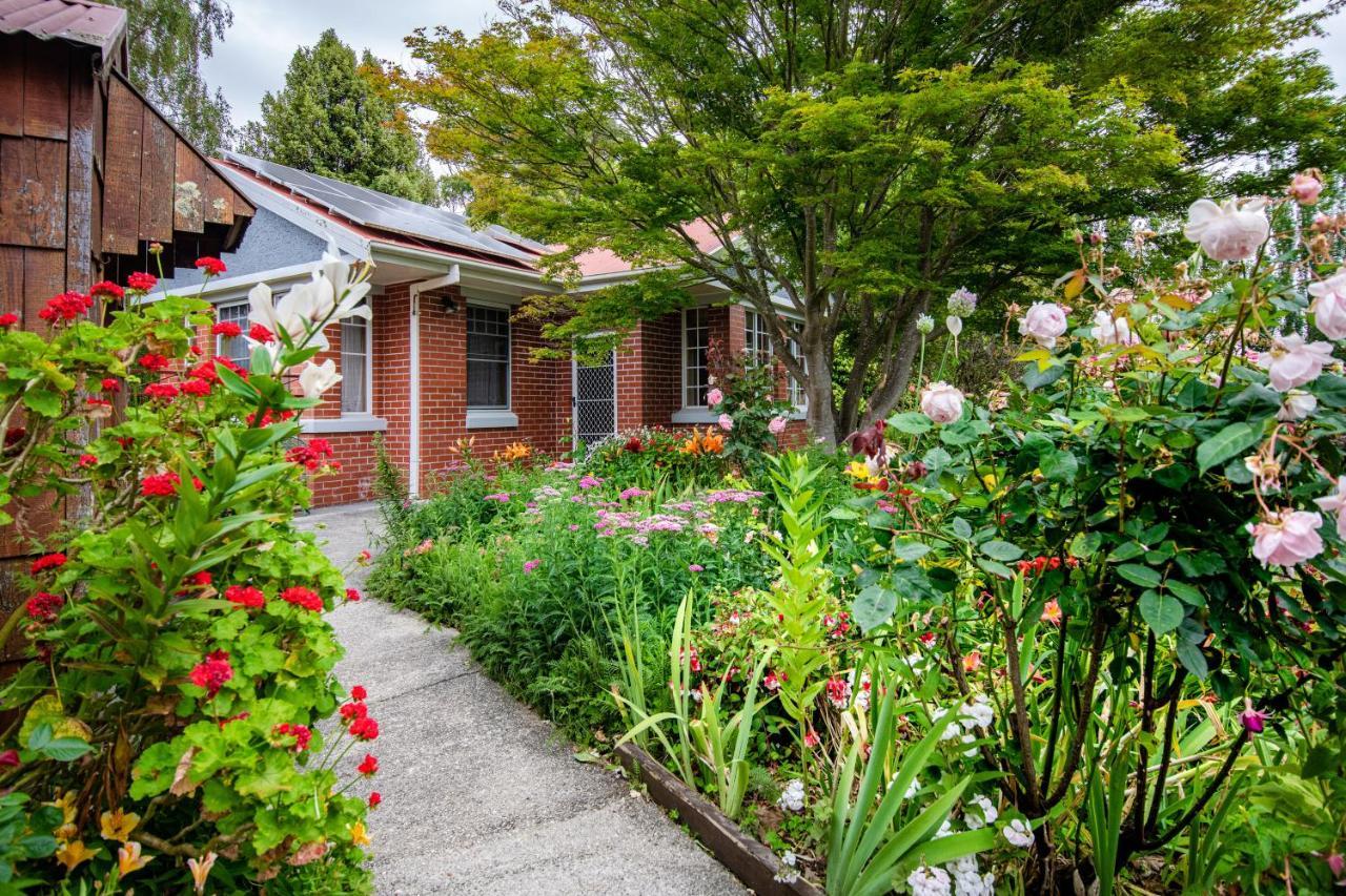 Alexandria Bed And Breakfast Wynyard Esterno foto