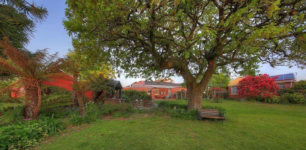 Alexandria Bed And Breakfast Wynyard Esterno foto